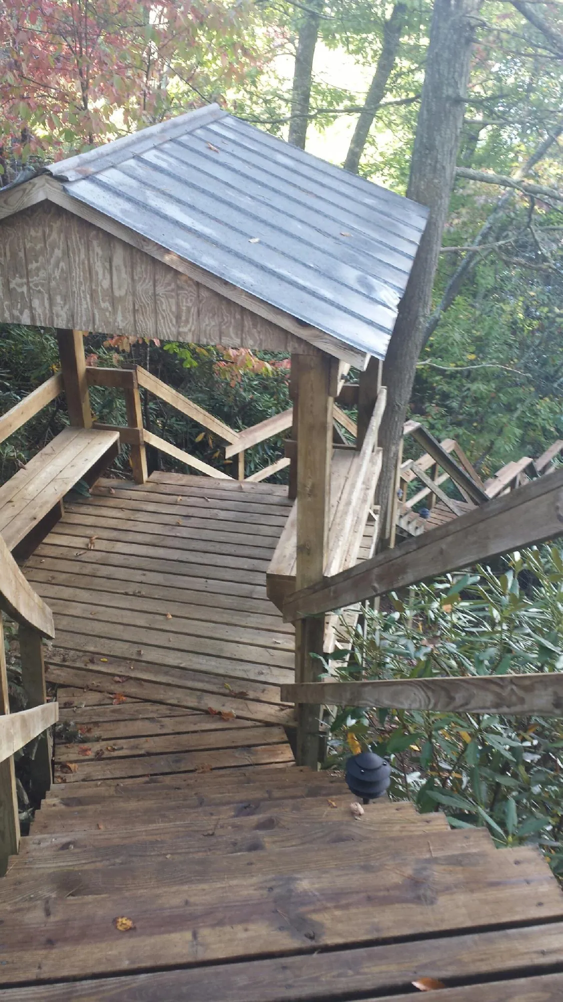 Metal roofed shelter over wooden steps on a wooded walkway — Skylight Repair & Installation work by our crew in Rydal